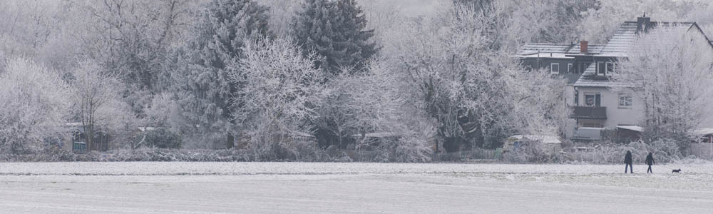 Winter landscape - with a snowy field, trees covered in snow, and a family walking